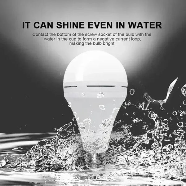 Portable Emergency Light Bulb